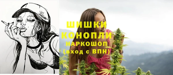 бошки Арсеньев