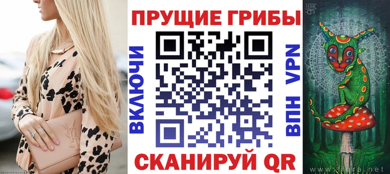 Купить  Старая Купавна  Галлюциногенные грибы Psilocybe 